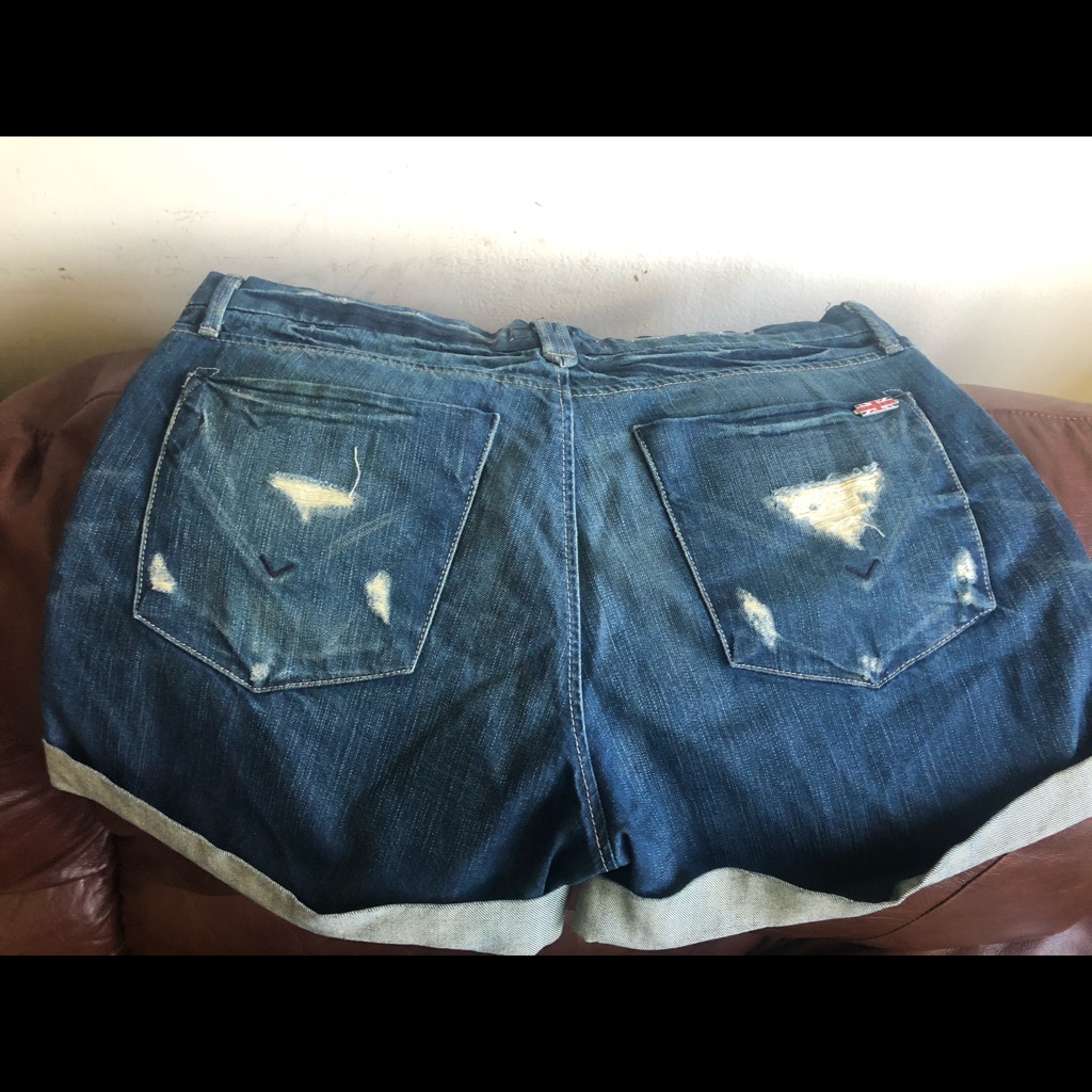 Brand New Hudson Denim Shorts